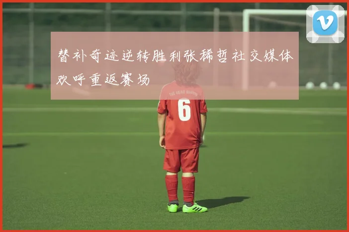 替补奇迹逆转胜利张稀哲社交媒体欢呼重返赛场