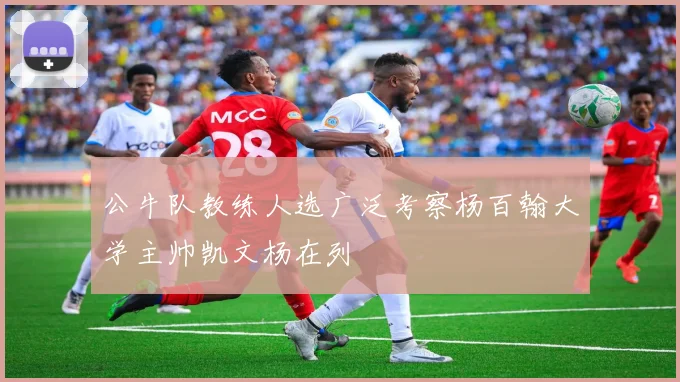 公牛队教练人选广泛考察杨百翰大学主帅凯文杨在列